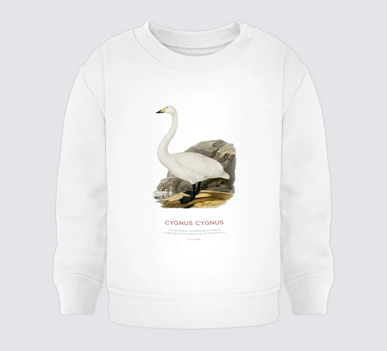 Cygne chanteur ou Cygnus cygnus sweat pour bébé de Vintagrafica