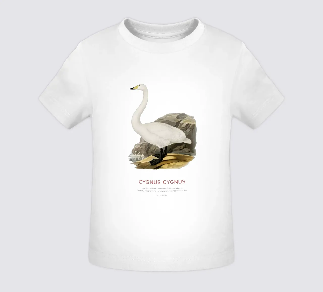 Cisne cantor o Cygnus cygnus camiseta de bebé de Vintagrafica