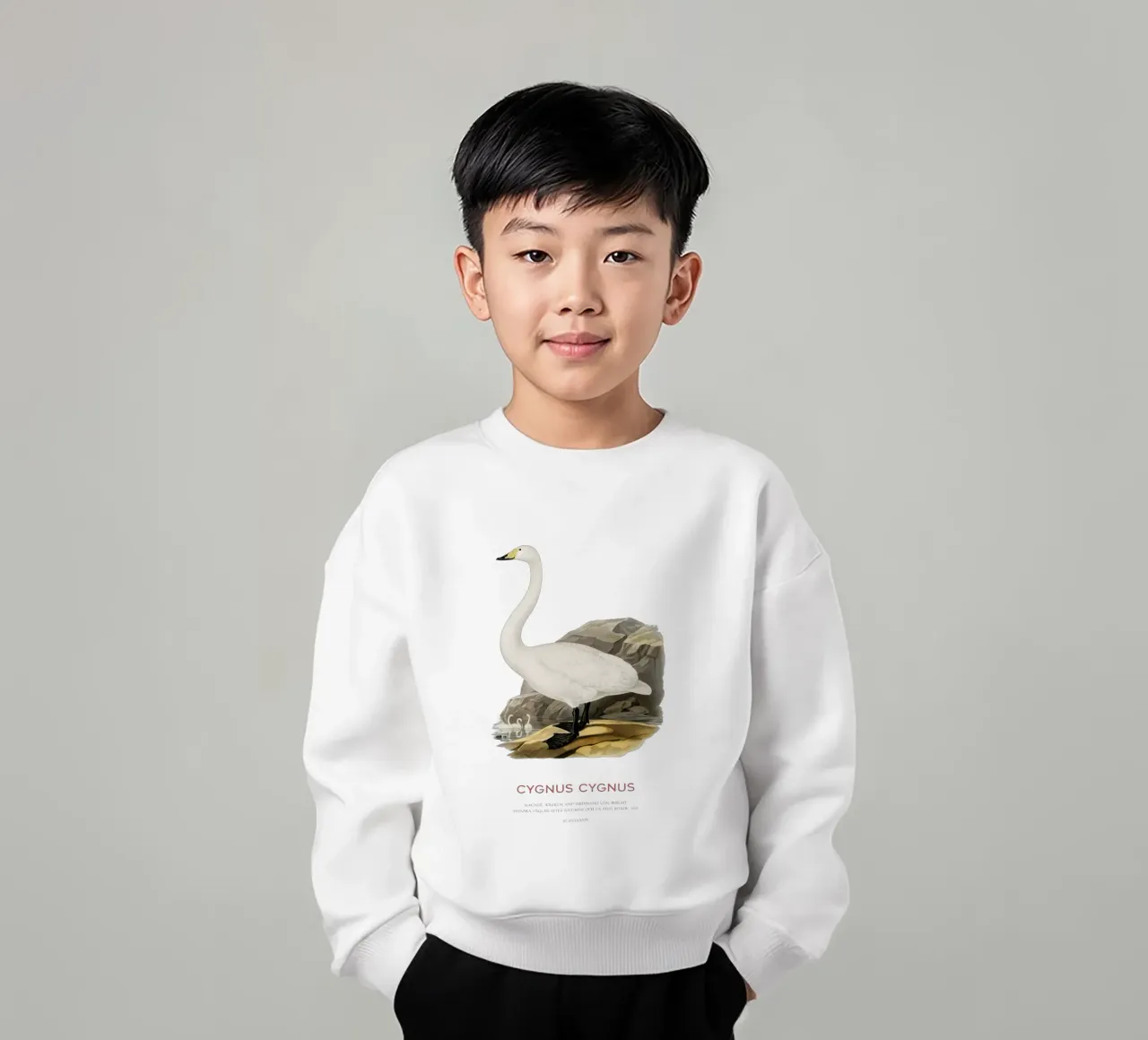 Singschwan oder Cygnus cygnus Kinder Sweatshirt von Vintagrafica