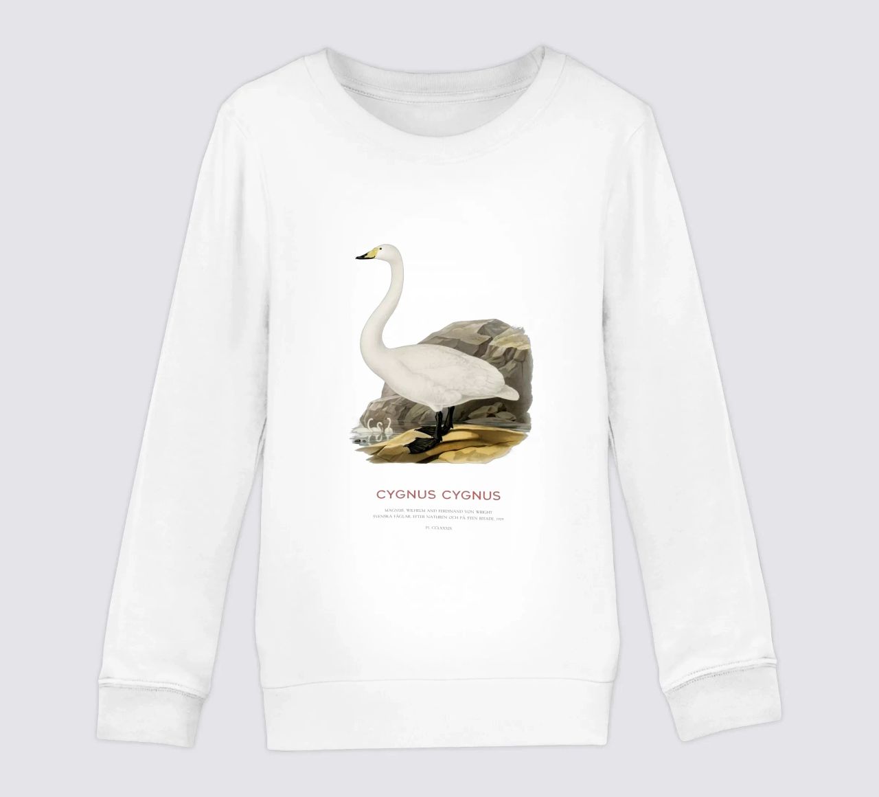 Cigno urlatore o Cygnus cygnus felpa bambino da Vintagrafica