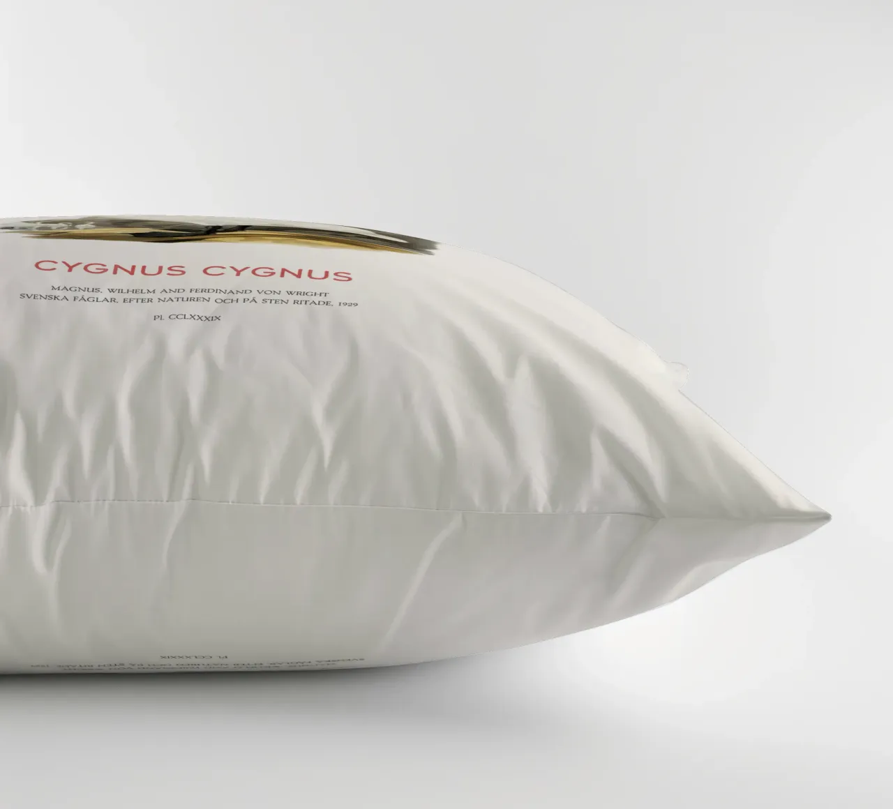 Cigno urlatore o Cygnus cygnus cuscino da Vintagrafica