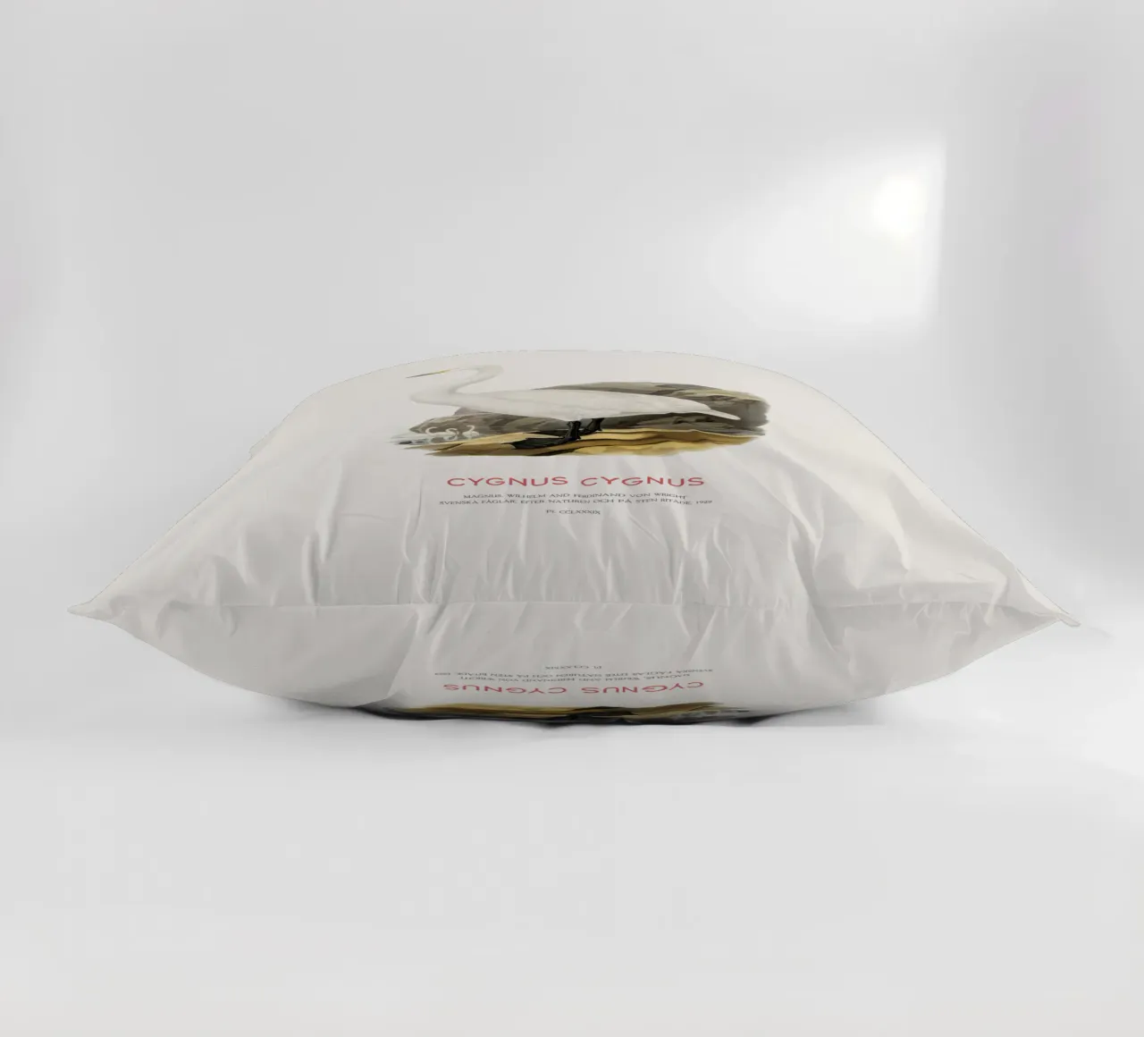 Cigno urlatore o Cygnus cygnus cuscino da Vintagrafica