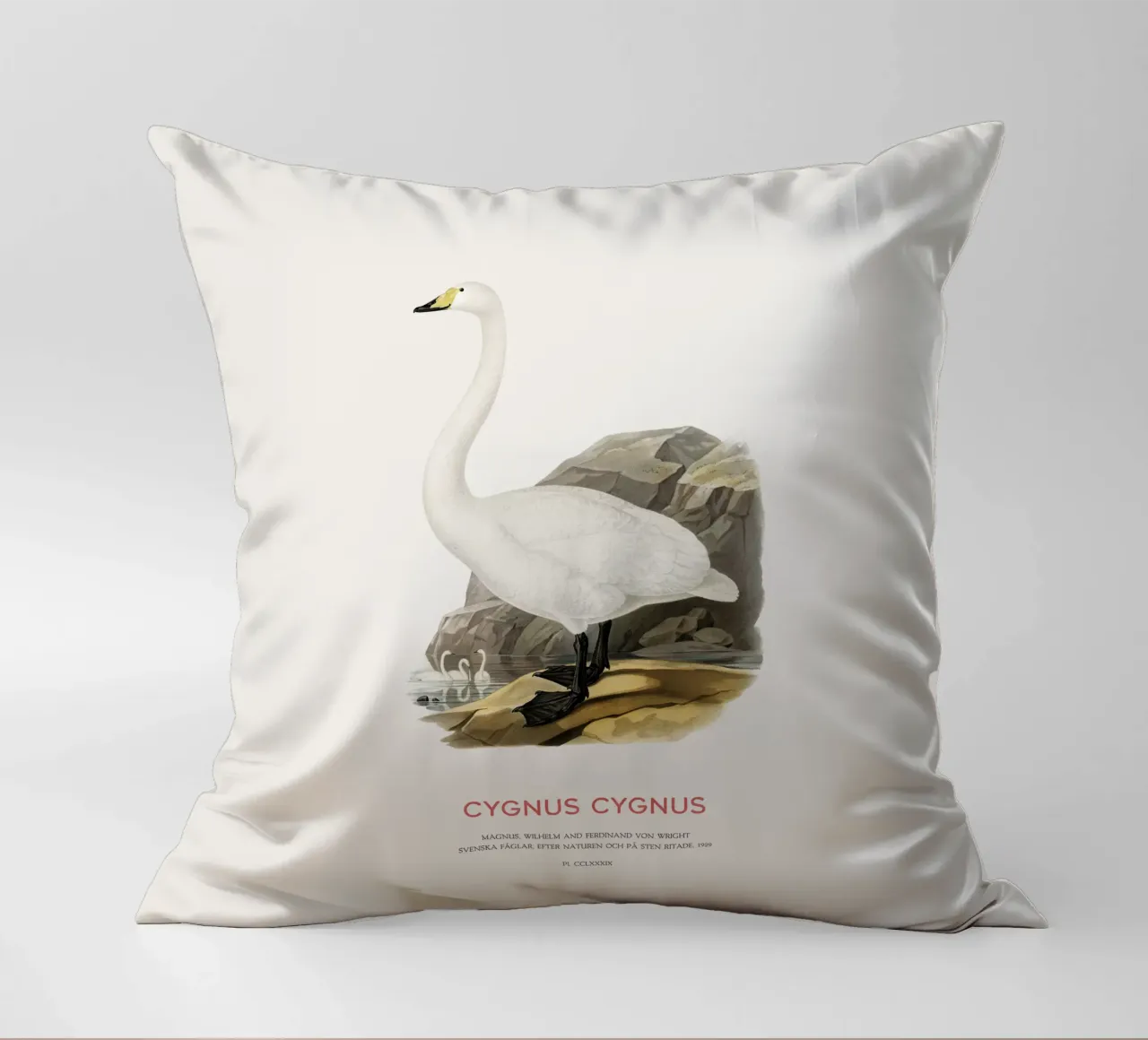 Cigno urlatore o Cygnus cygnus cuscino da Vintagrafica