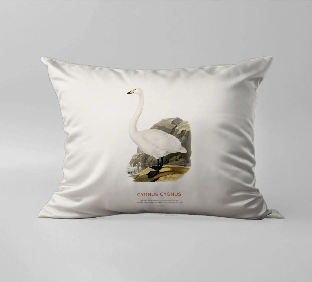 Cigno urlatore o Cygnus cygnus cuscino da Vintagrafica