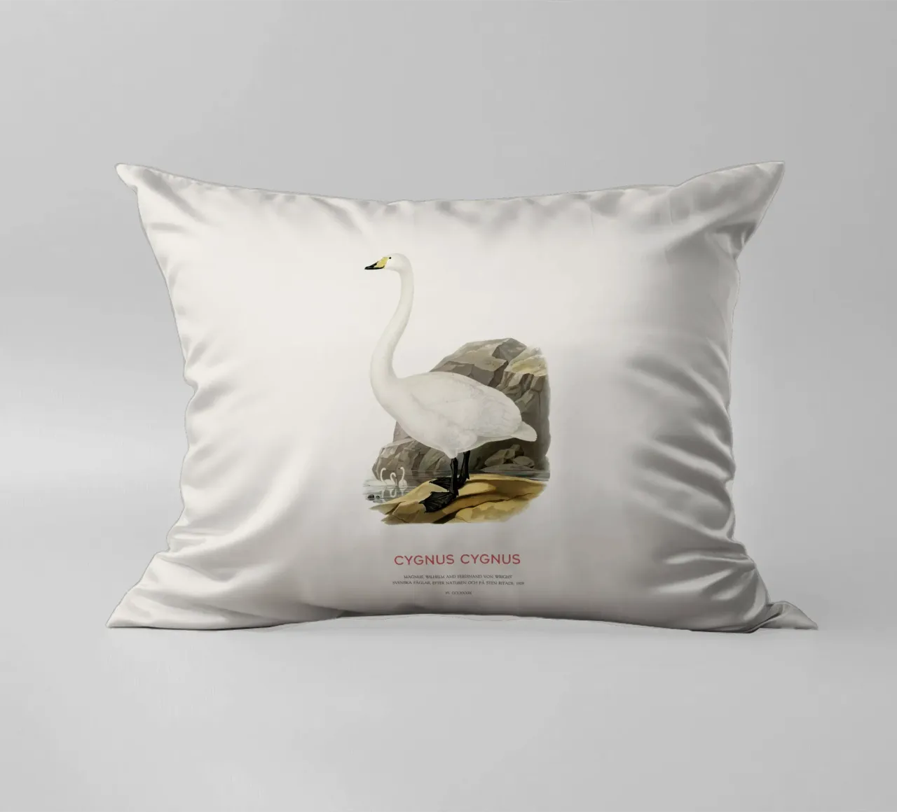 Cigno urlatore o Cygnus cygnus cuscino da Vintagrafica