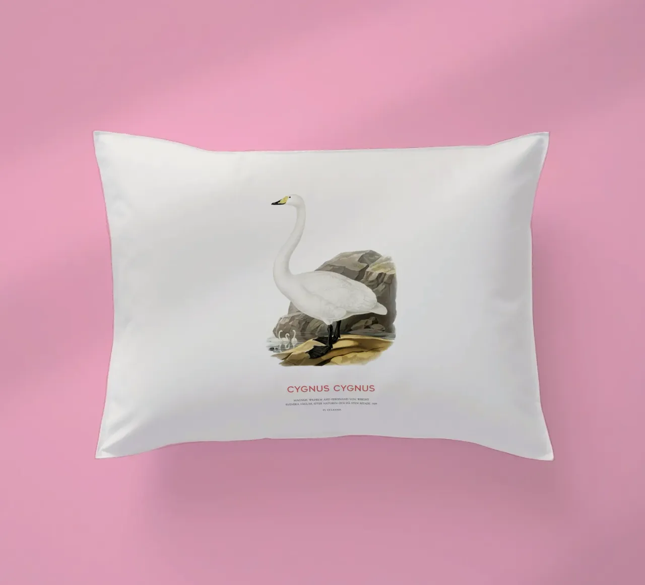 Cigno urlatore o Cygnus cygnus cuscino da Vintagrafica