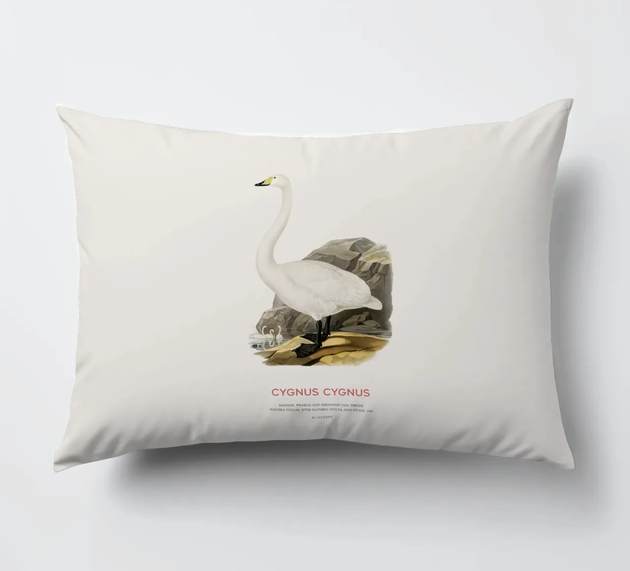 Cigno urlatore o Cygnus cygnus cuscino da Vintagrafica