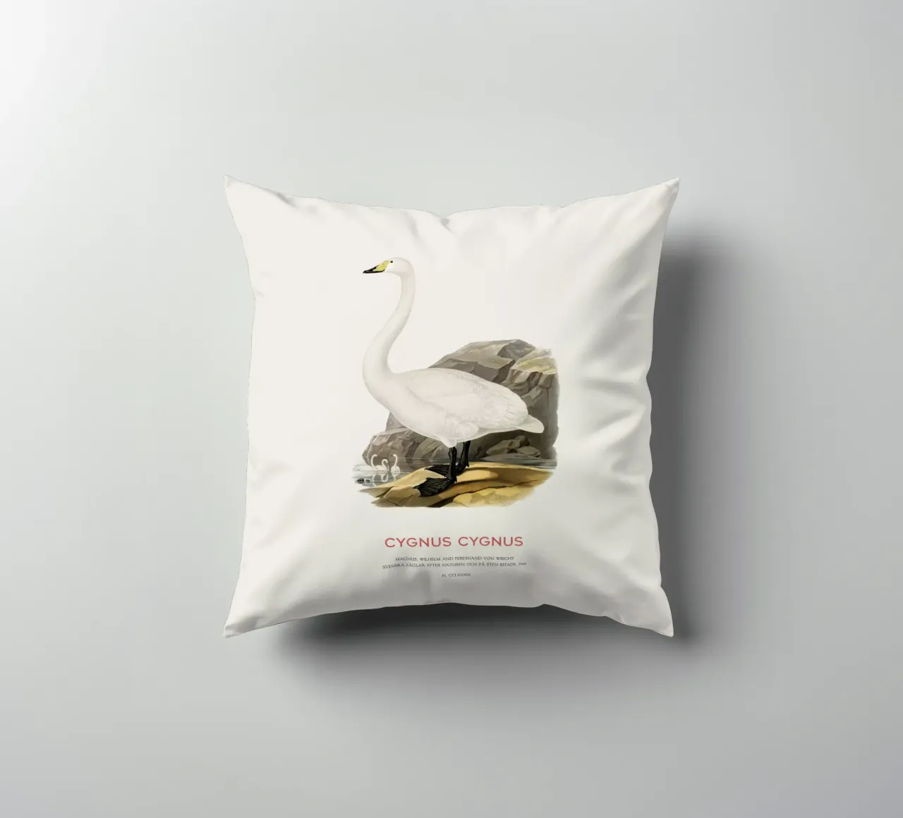 Cigno urlatore o Cygnus cygnus cuscino da Vintagrafica