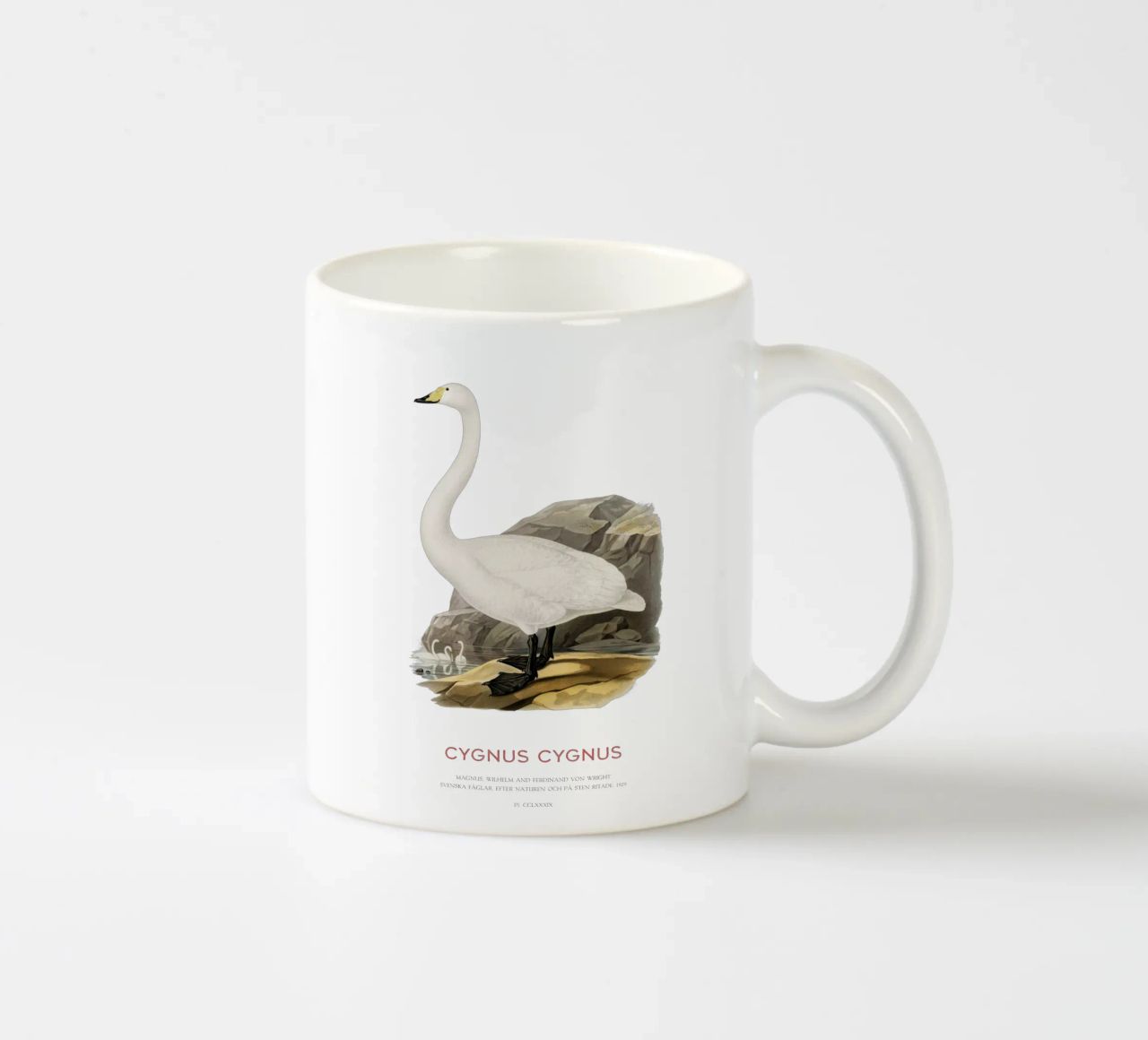 Cigno urlatore o Cygnus cygnus tazza in ceramica da Vintagrafica