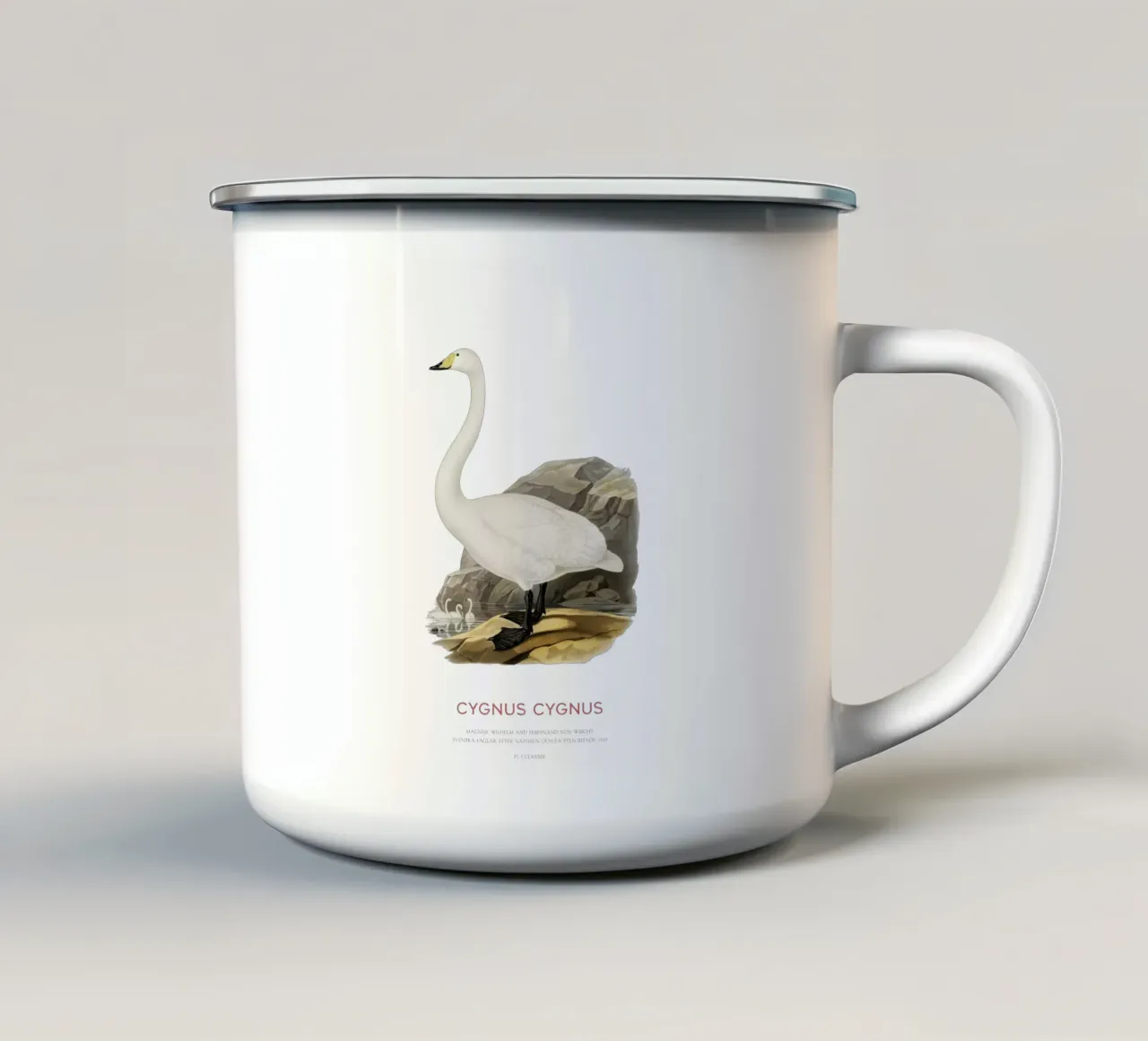 Cigno urlatore o Cygnus cygnus tazza in smalto da Vintagrafica