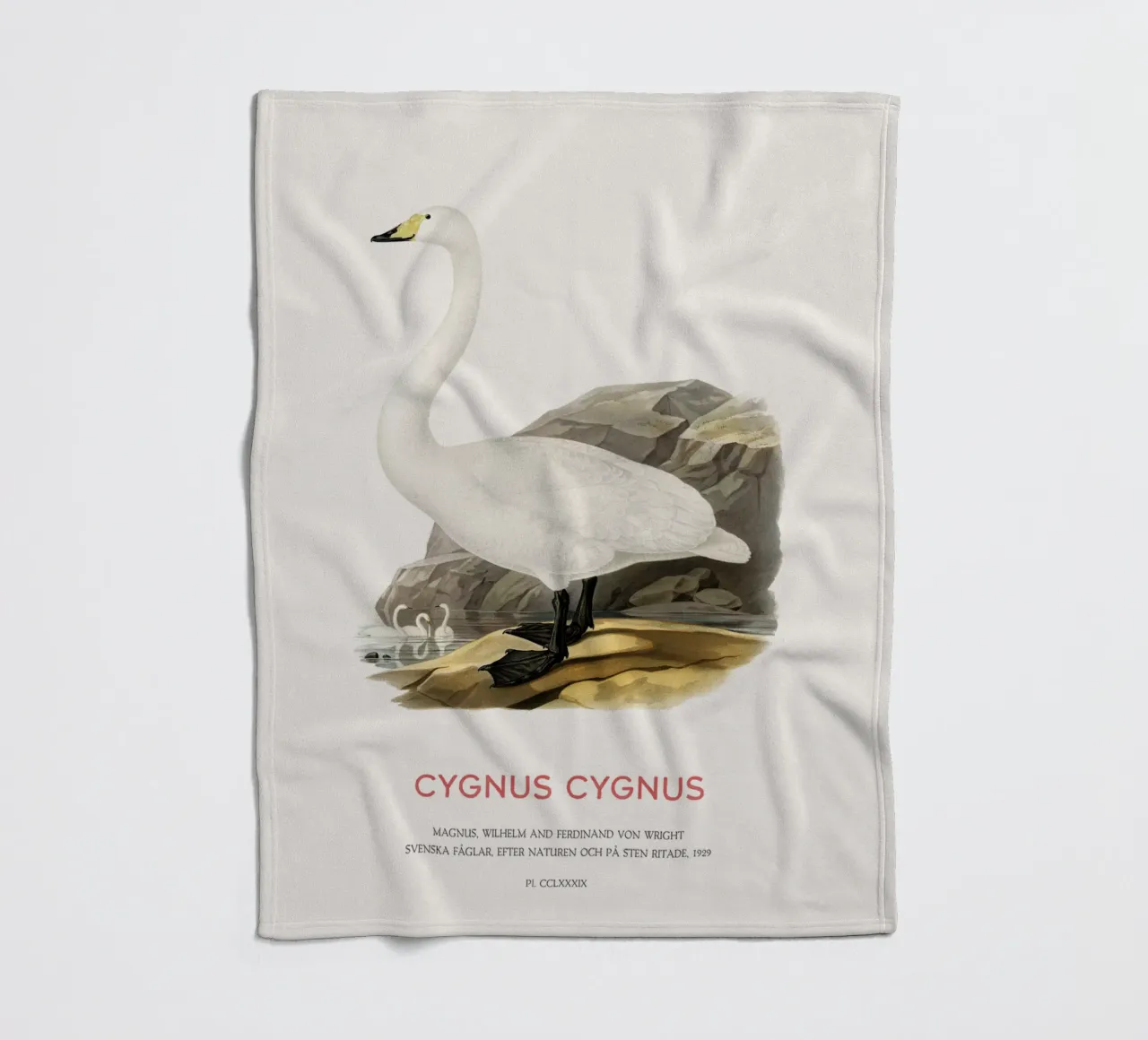 Cigno urlatore o Cygnus cygnus coperta in pile da Vintagrafica