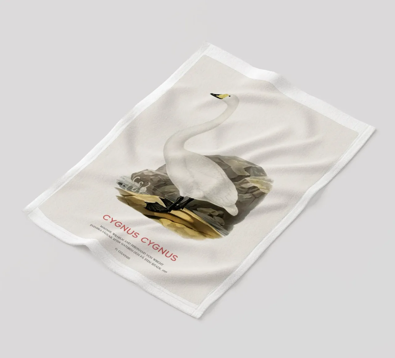 Cigno urlatore o Cygnus cygnus coperta in pile da Vintagrafica