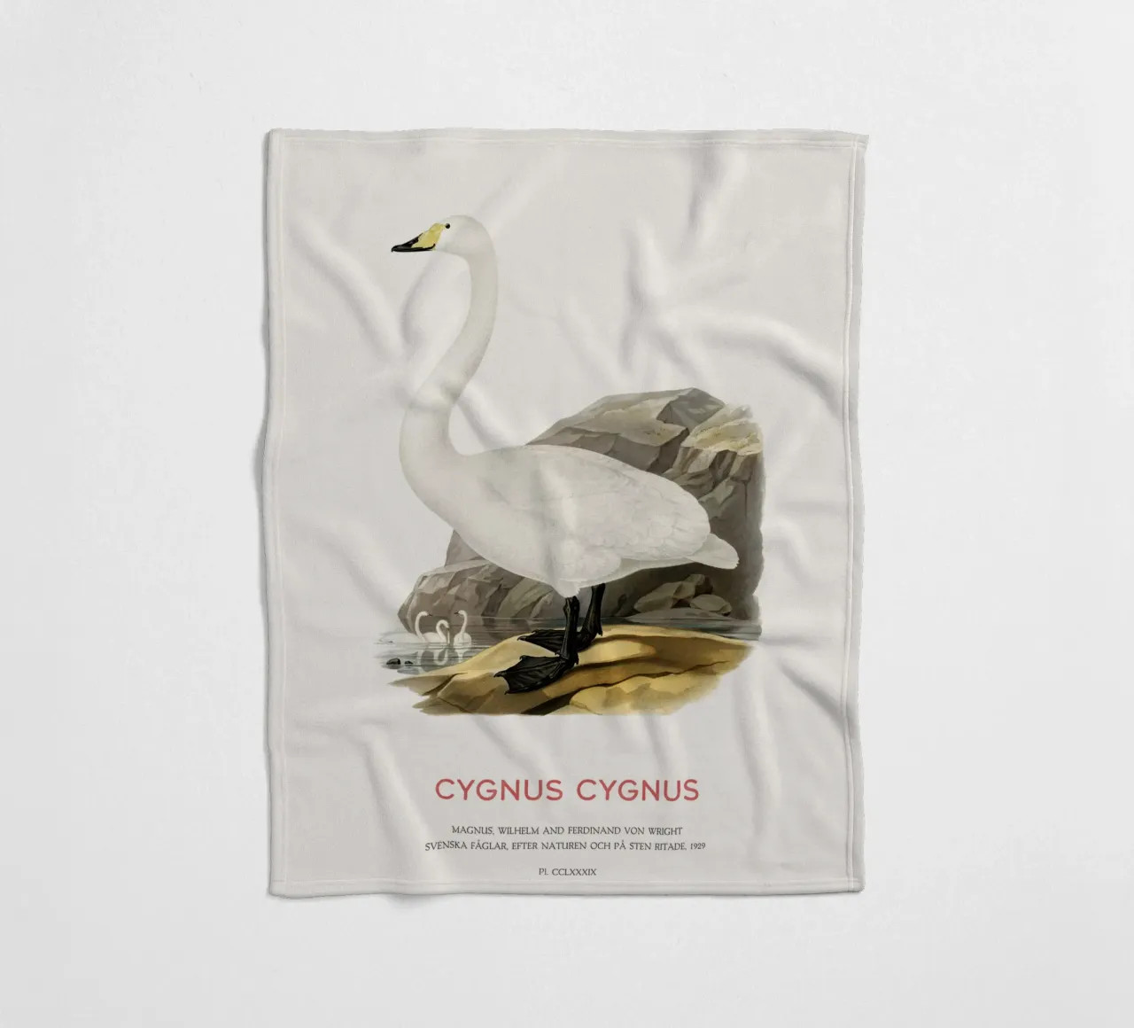 Cigno urlatore o Cygnus cygnus coperta in pile da Vintagrafica