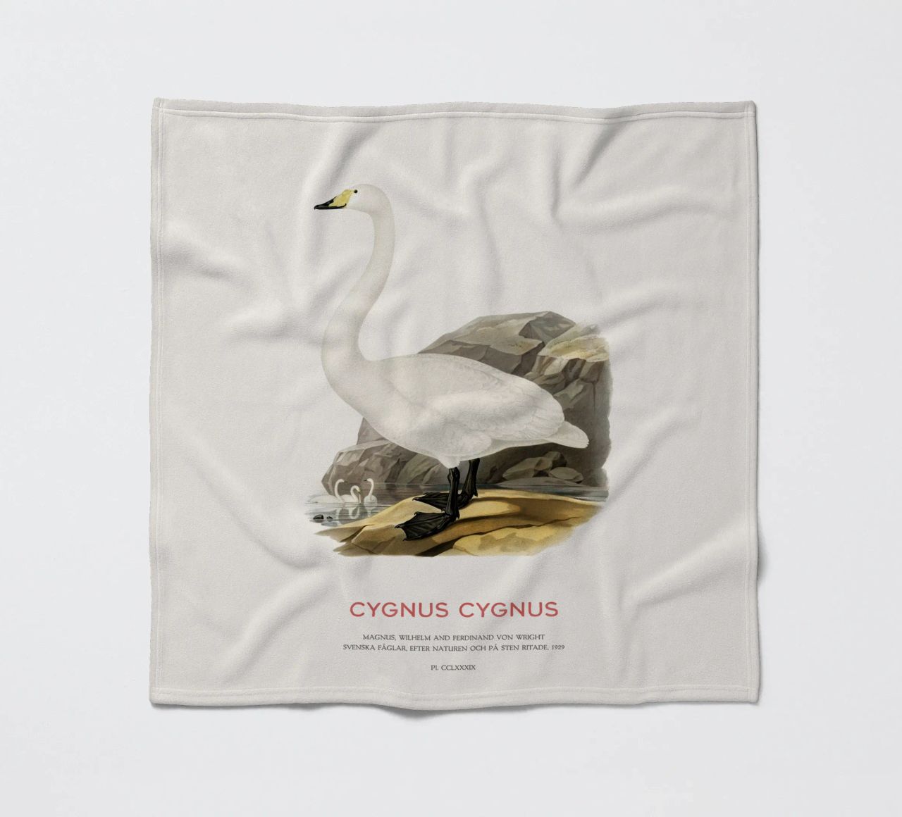 Cigno urlatore o Cygnus cygnus coperta in pile da Vintagrafica