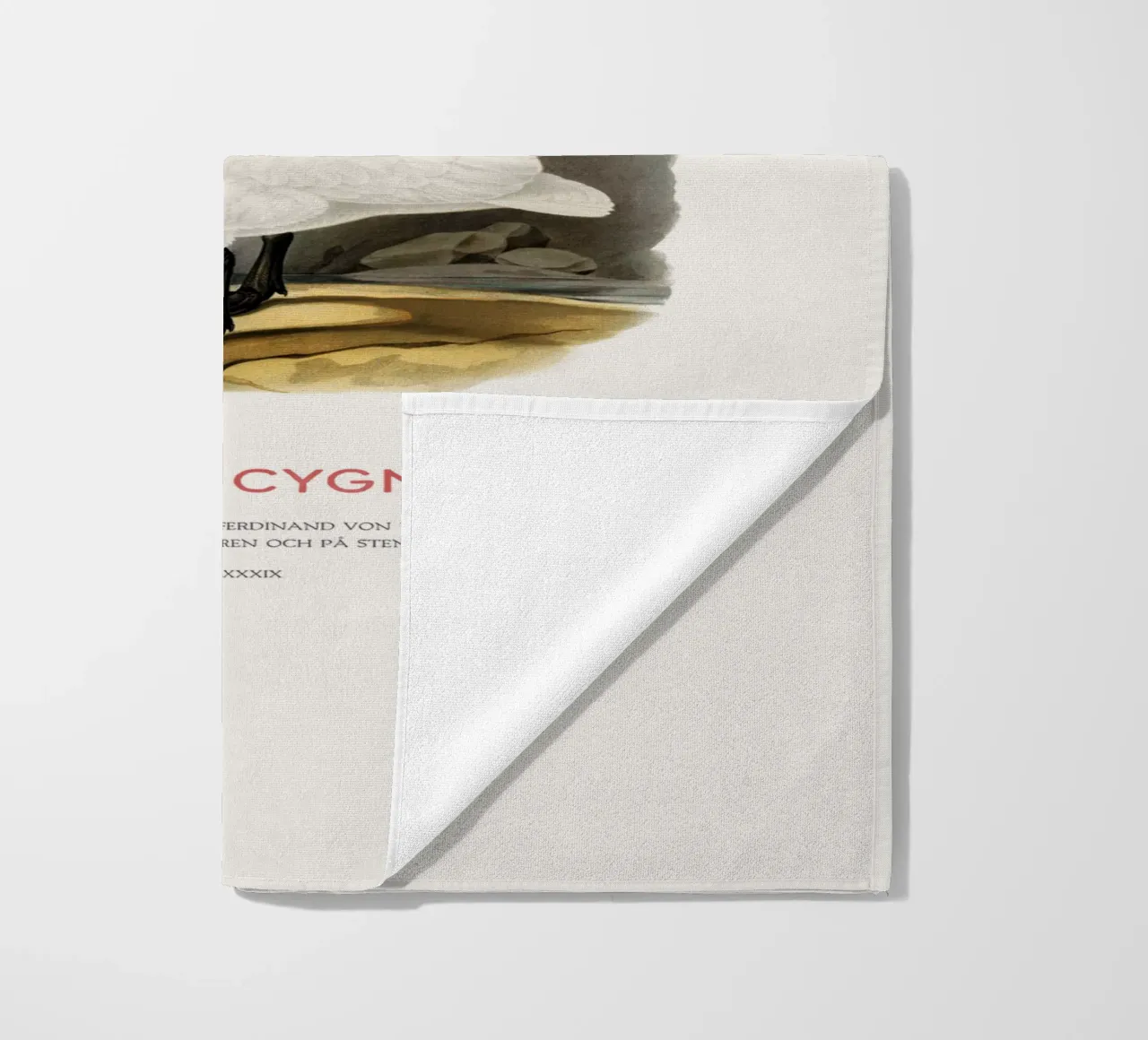 Singschwan oder Cygnus cygnus Strandtuch von Vintagrafica