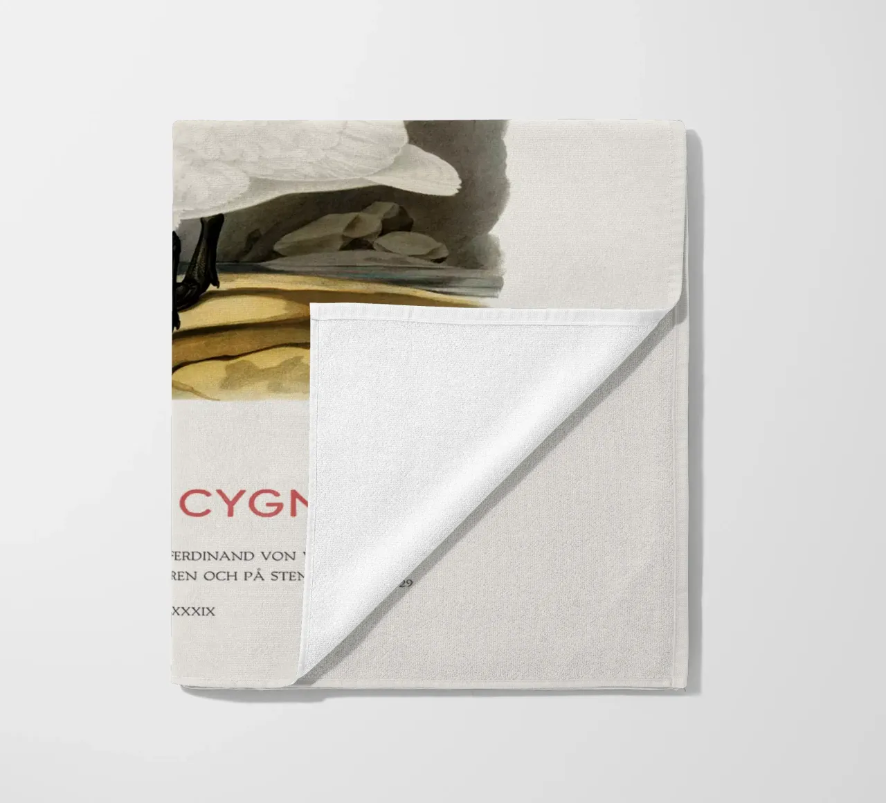 Singschwan oder Cygnus cygnus Strandtuch von Vintagrafica