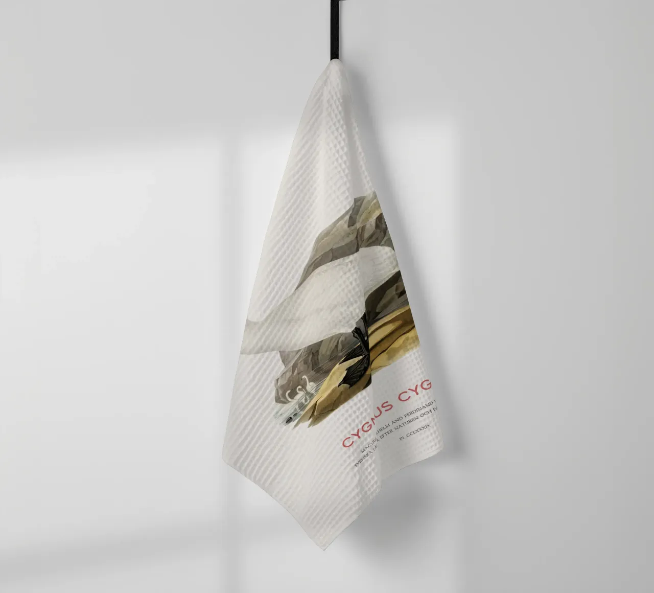 Cigno urlatore o Cygnus cygnus canovaccio da cucina da Vintagrafica