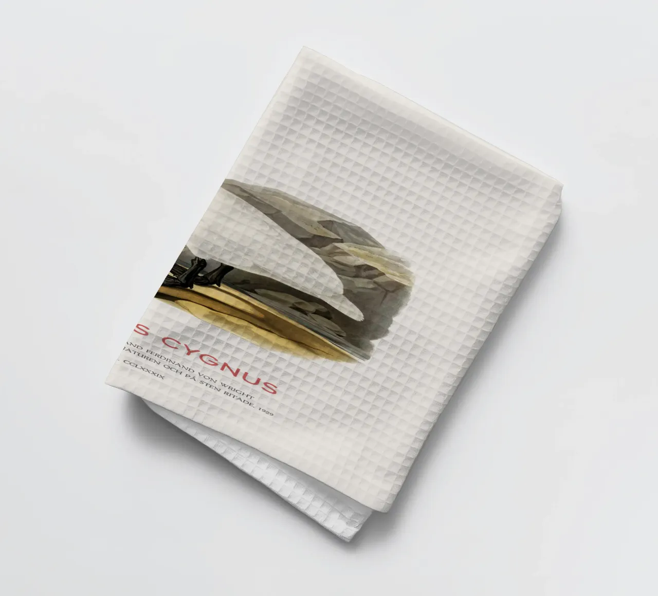 Cigno urlatore o Cygnus cygnus canovaccio da cucina da Vintagrafica