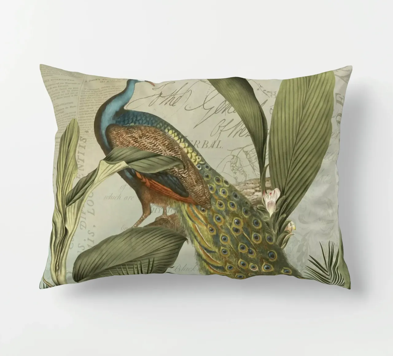 Collage vintage Peafowl Nostalgia cuscino da Andrea Haase Vintage World