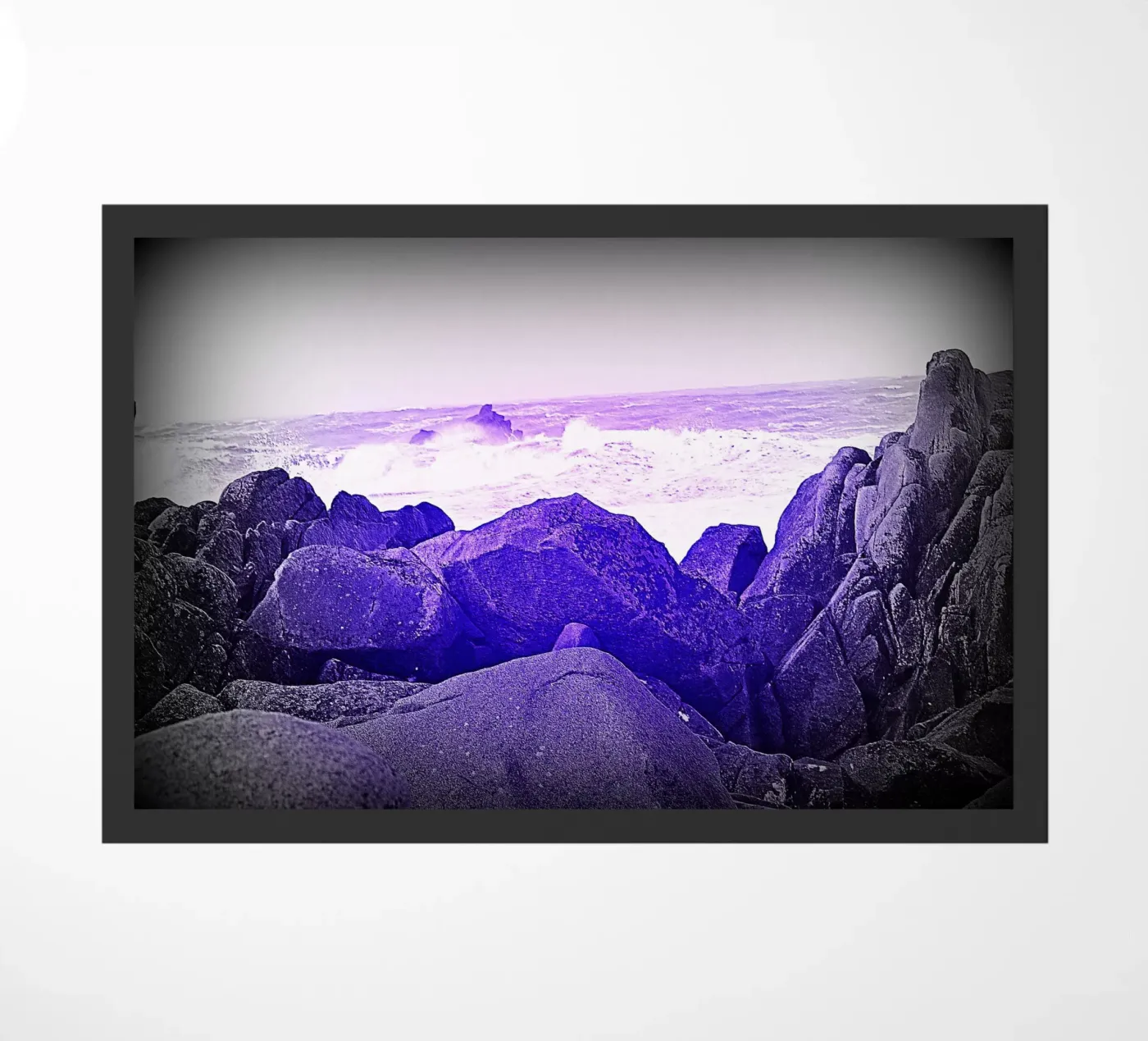 FAA33 zerbino da Thierry vobmann photography