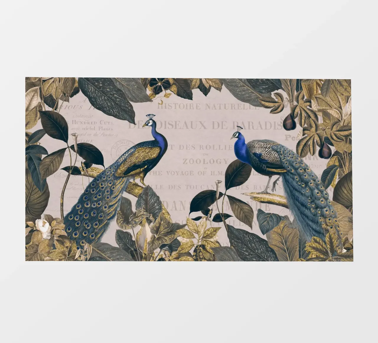 Pavone botanico vintage Reverie pellicola backlit da Andrea Haase Vintage World