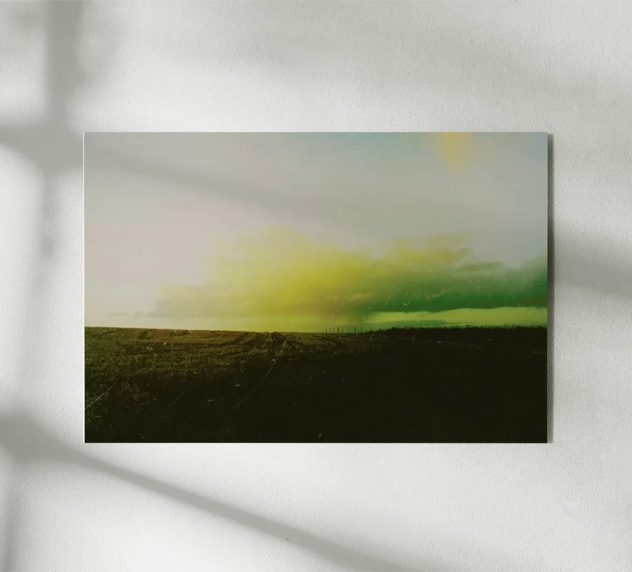 Sandy Creek plexiglass da Emma Zoe Brew