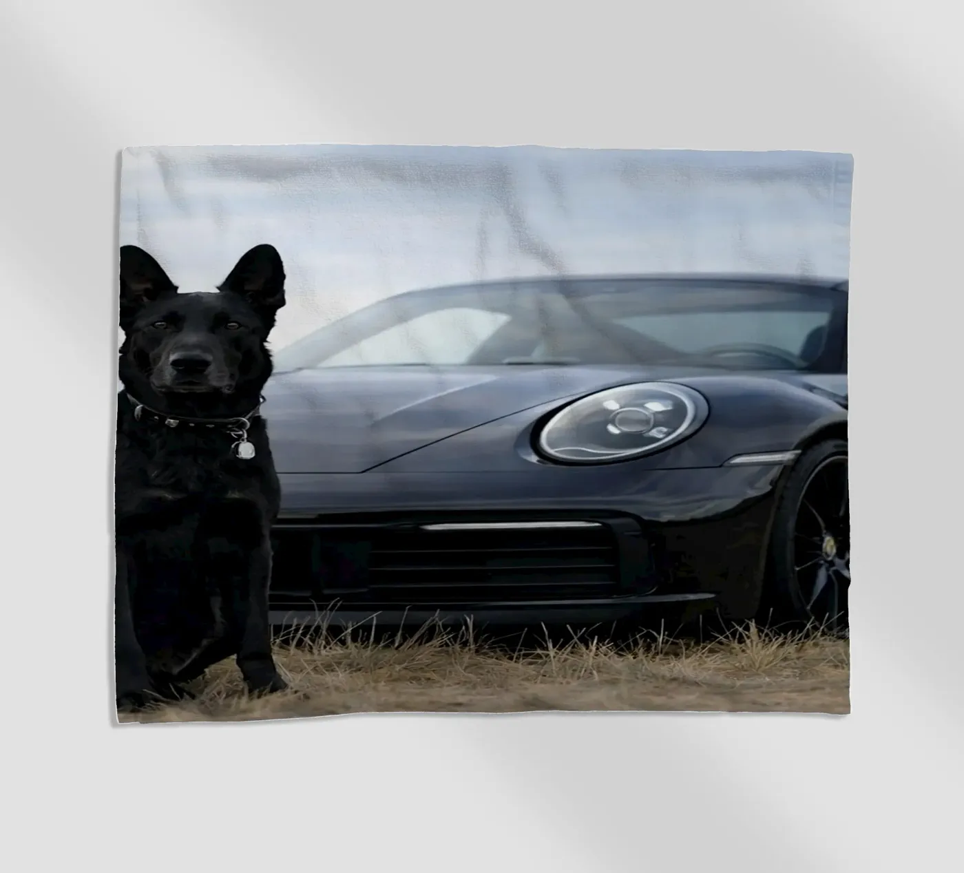 cane nero e auto telo mare da Deemoll