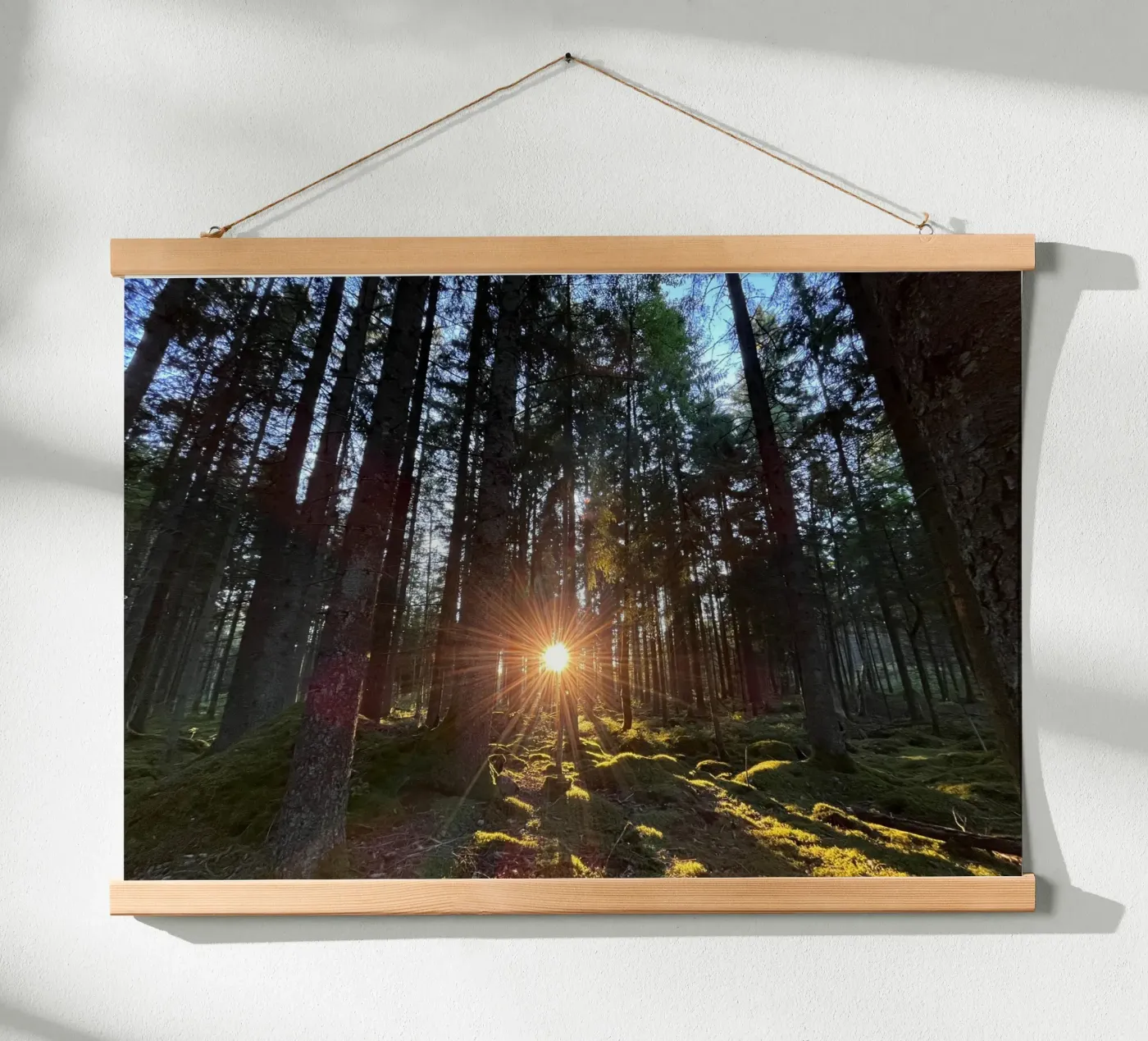 Sunlit forest poster by Atelier Fabe