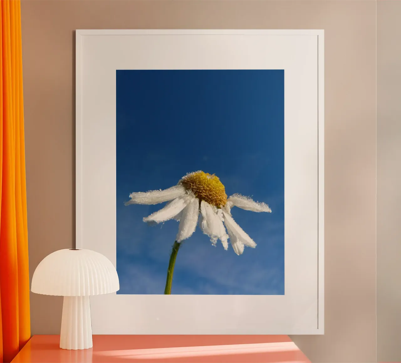 Fiore di camomilla poster con telaio in plastica da Alexey