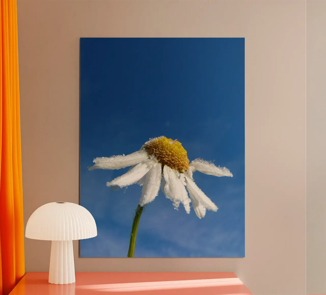 Fiore di camomilla poster con telaio in plastica da Alexey