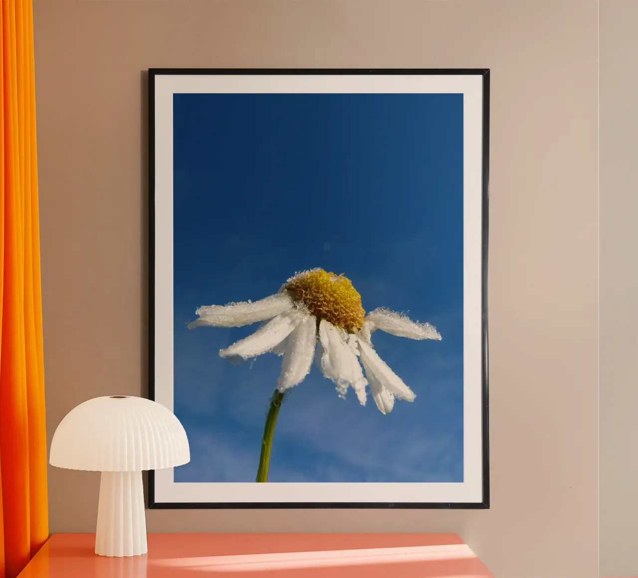 Fiore di camomilla poster con telaio in plastica da Alexey