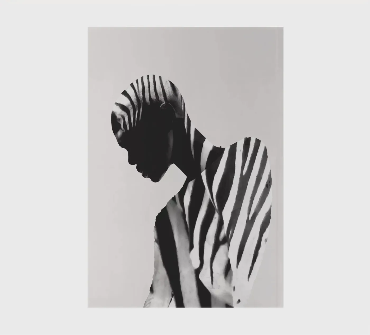 Zebra notebook by dada22