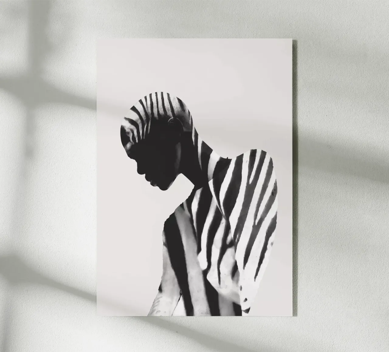 Zebra plexiglass da dada22