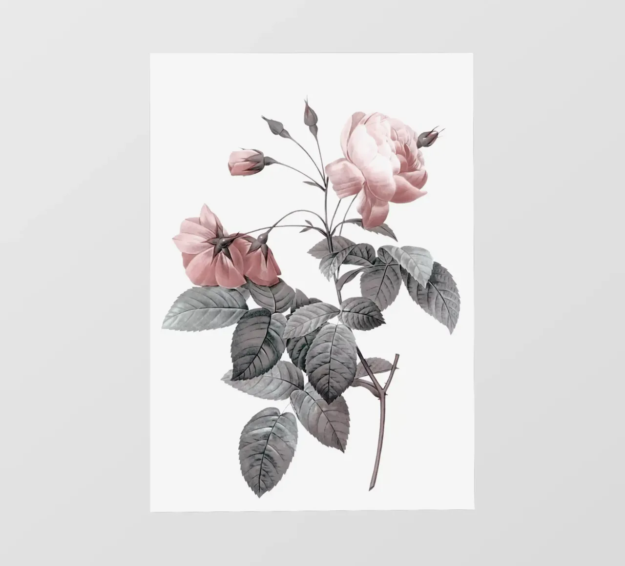 Rosa 2 telo in pvc da dada22