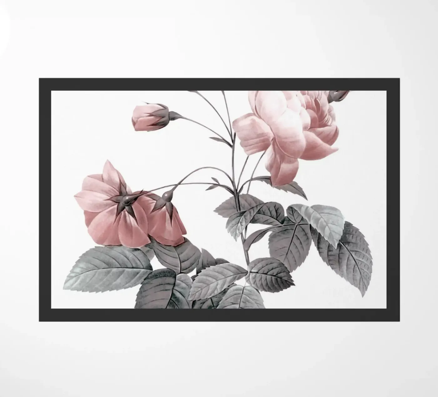 Rosa 2 zerbino da dada22