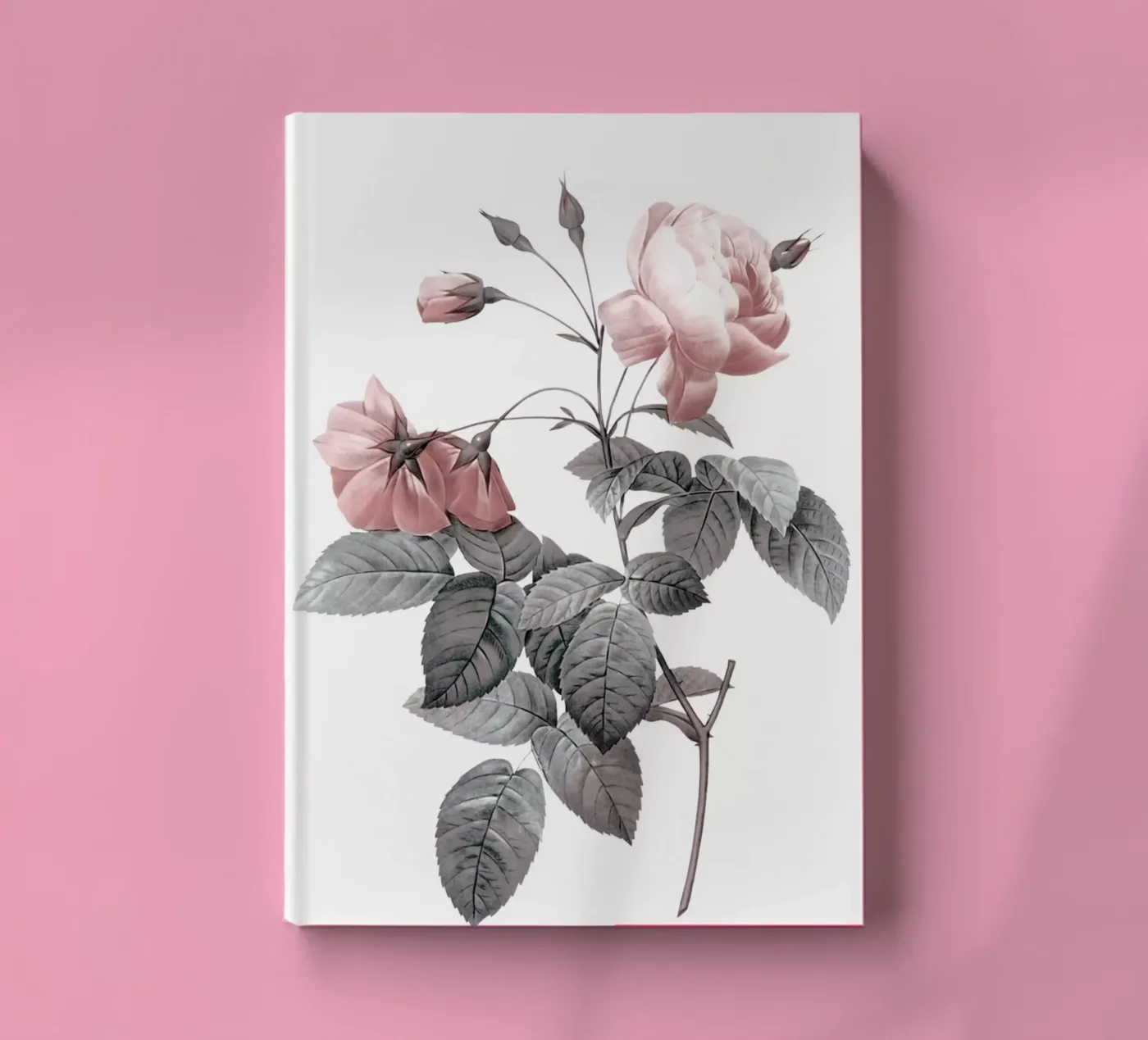 Rose 2 notebook by dada22