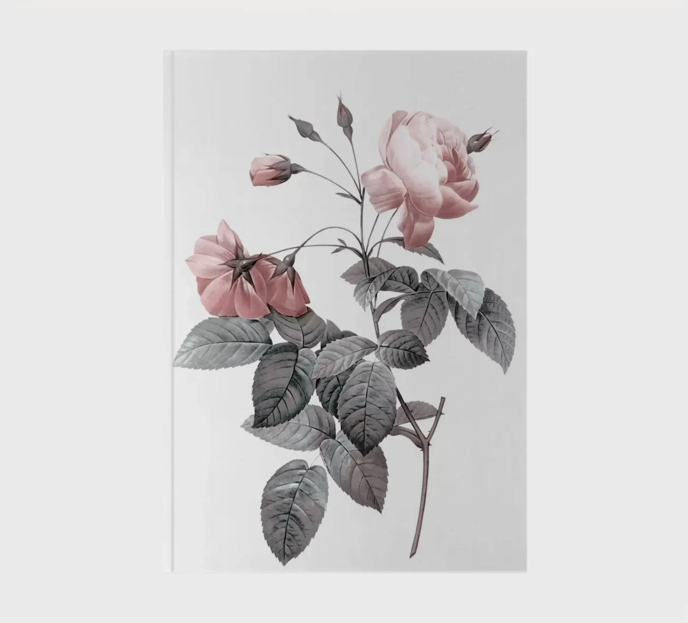 Rose 2 notebook by dada22