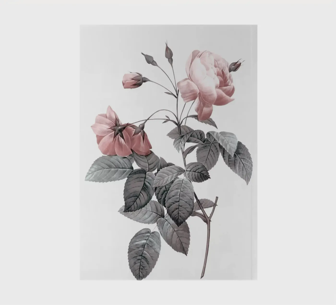 Rose 2 notebook by dada22