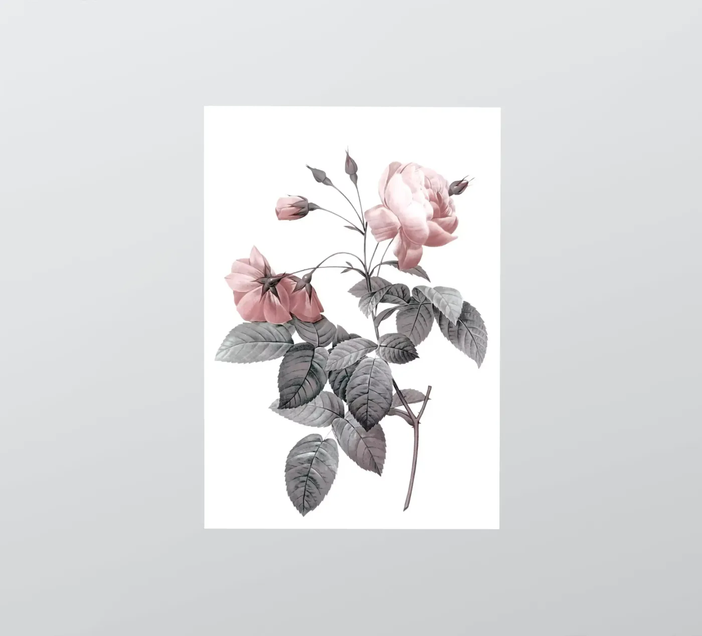 Rose 2 sticker by dada22