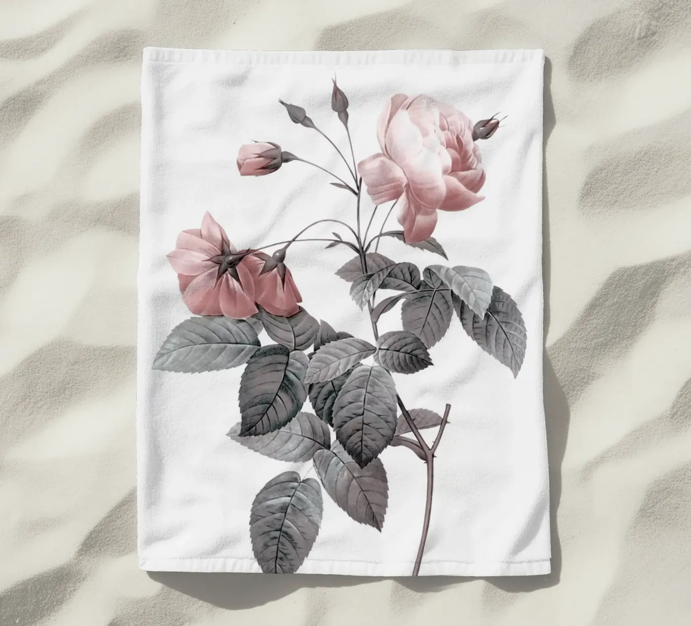 Rosa 2 telo mare da dada22