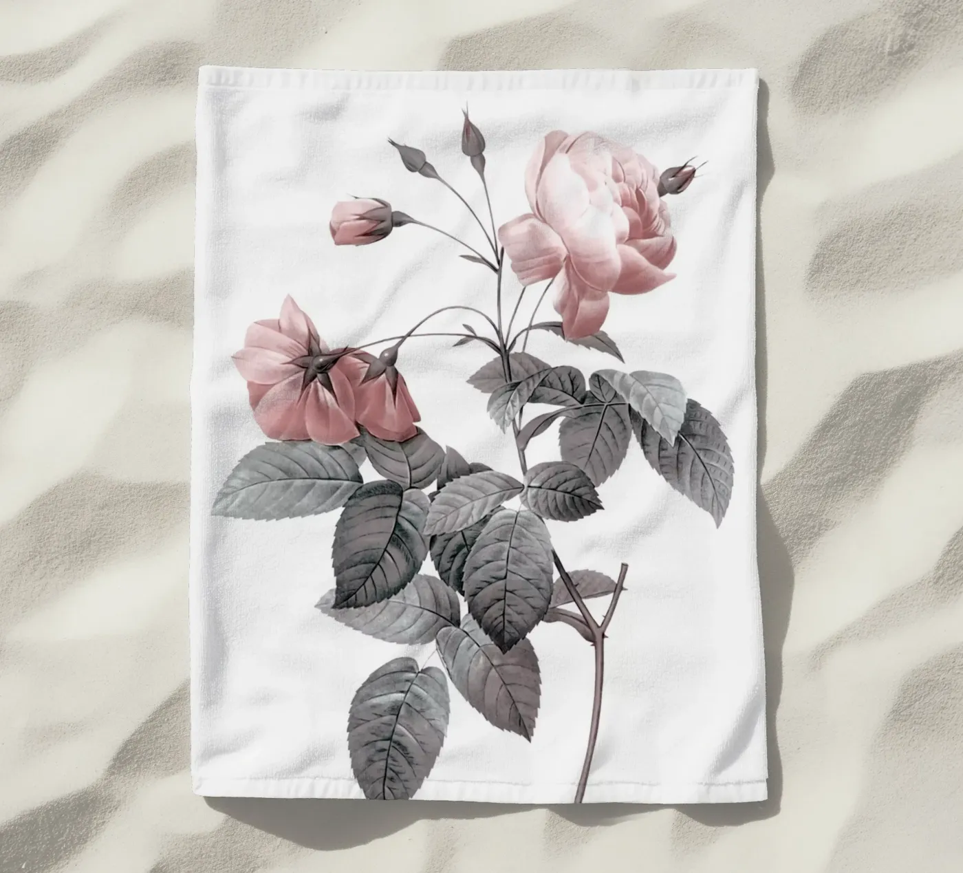 Rose 2 telo mare da dada22