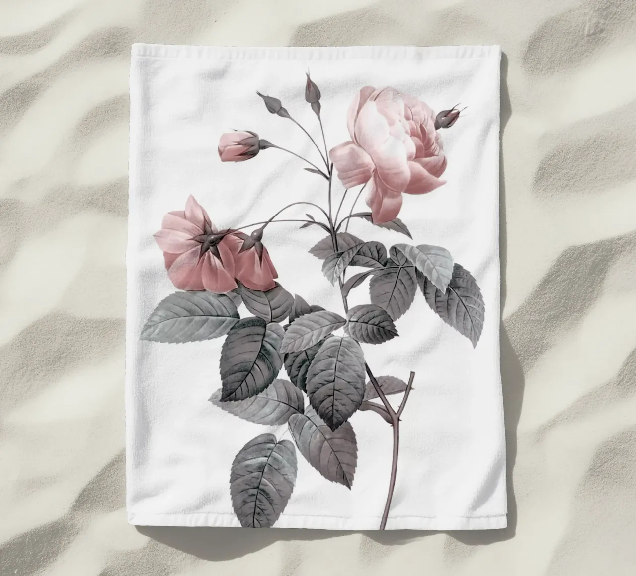 Rosa 2 telo mare da dada22