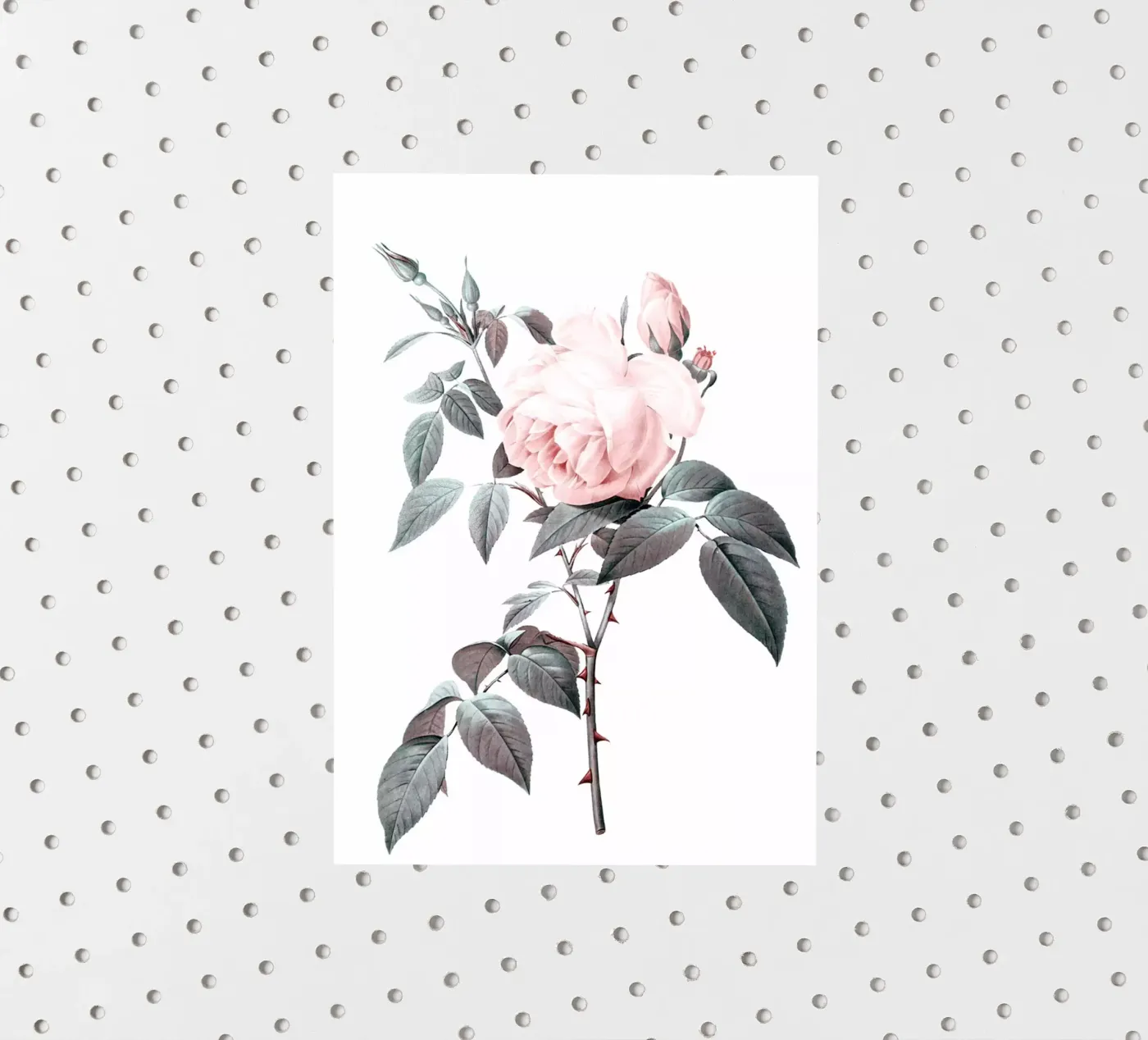 Roos sticker van dada22