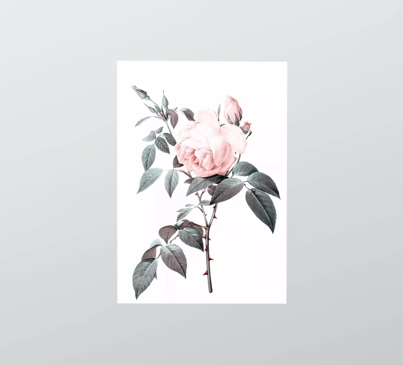 Roos sticker van dada22