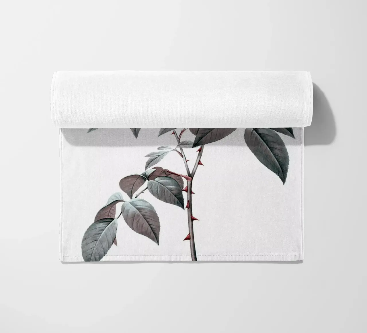 Rosa telo mare da dada22