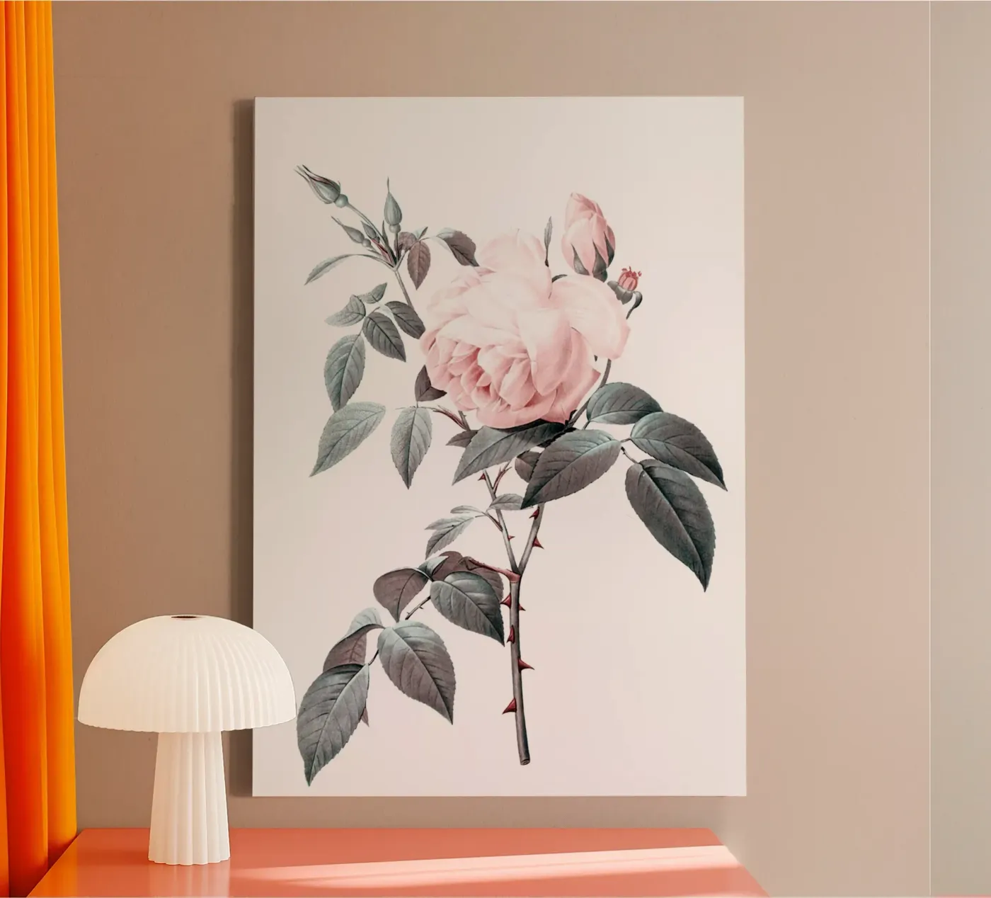 Rosa tela da dada22