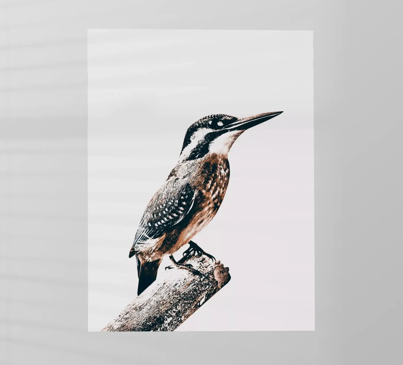 UCCELLO pellicola backlit da dada22