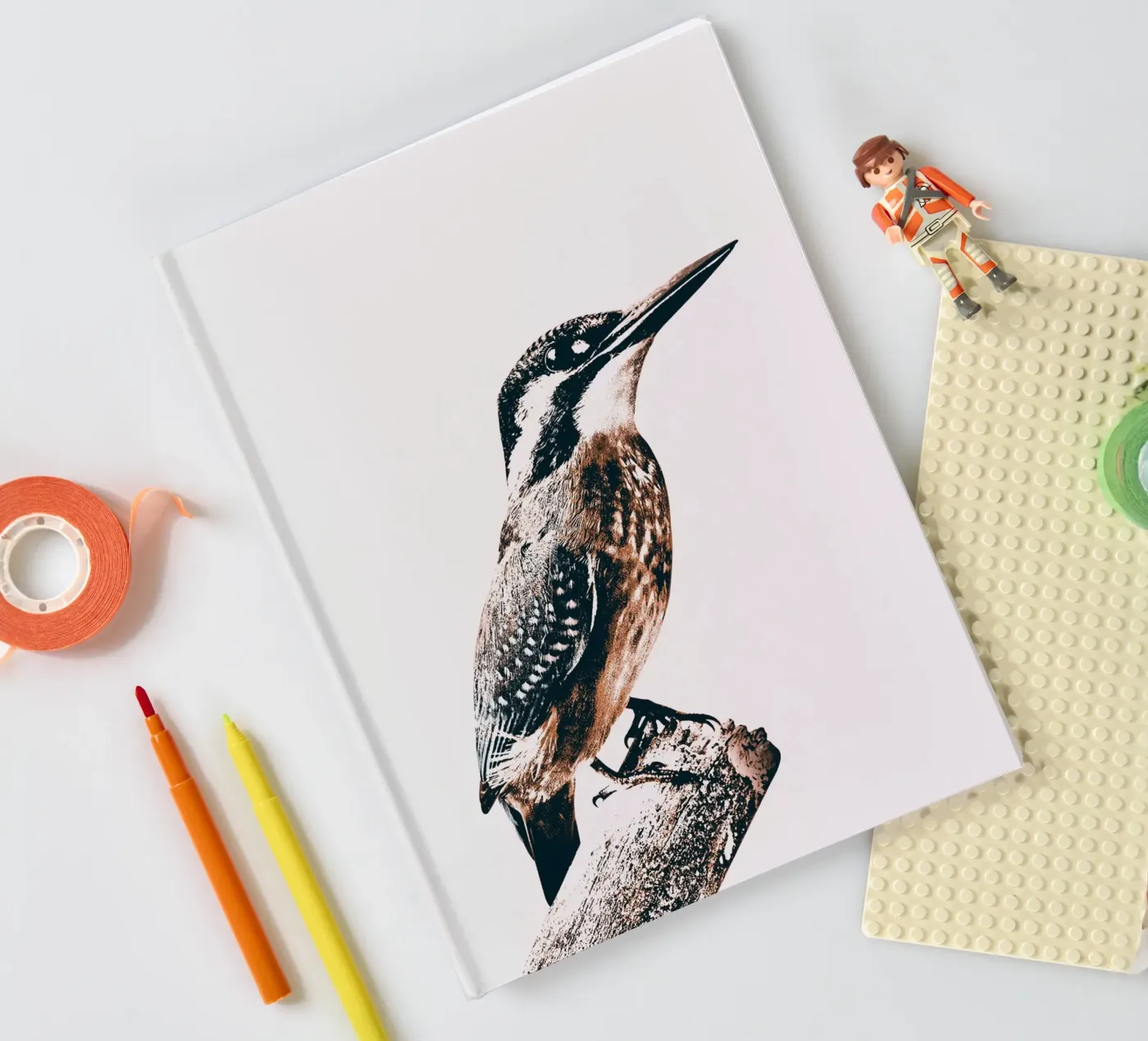 BIRD notebook by dada22