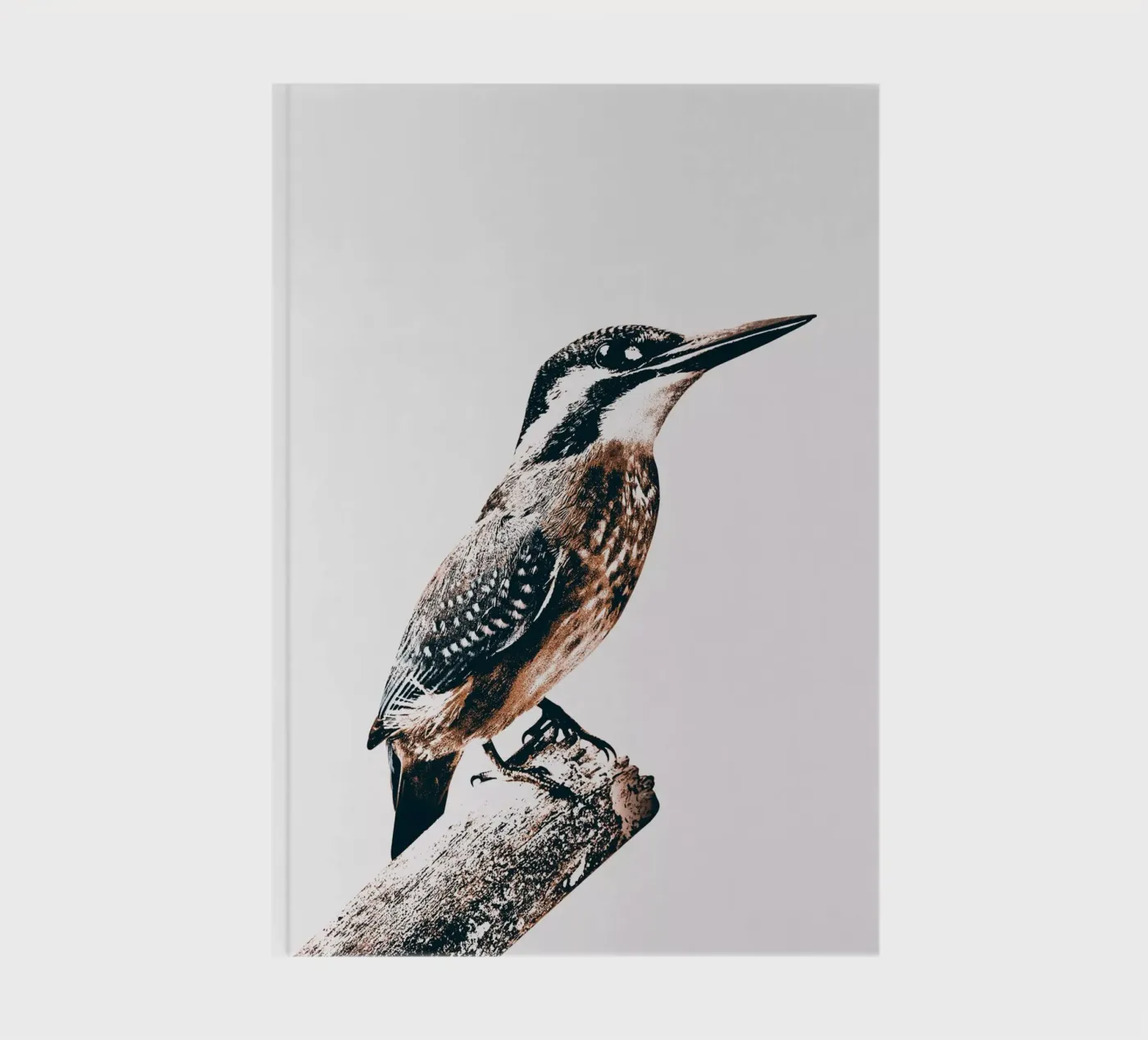 BIRD notebook by dada22