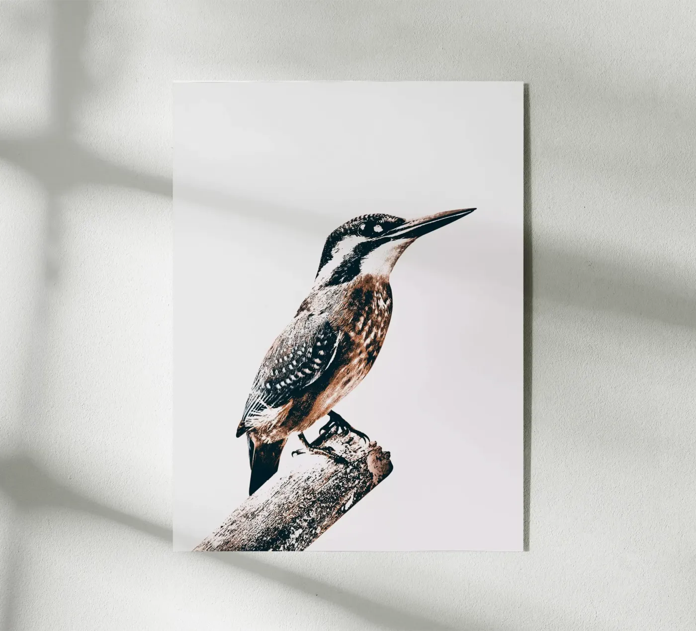 BIRD plexiglas de dada22